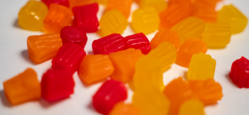 Transform Your Confections with GPC’s Innovative Solutions